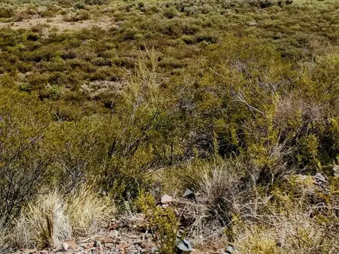 Terreno en Venta en Lujan De Cuyo, USD 42.000