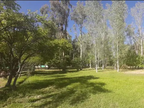Tropero Sosa 800