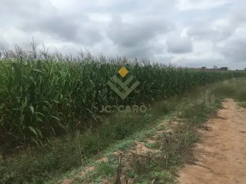 Oportunidad 900 has Rosario de La Frontera Salta - Financiación