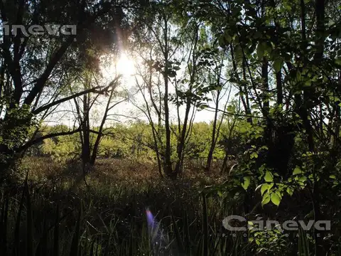 Terreno en Venta de 704,0 m2