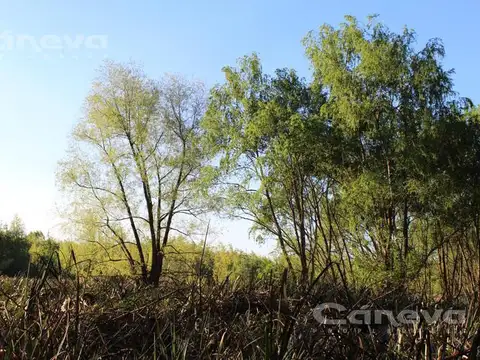 Lote interno amarras