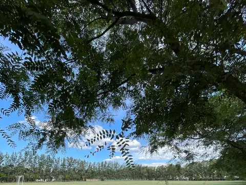Terreno - Azahares del Paraná
