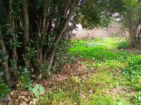 Casa 3 amb Venta Berazategui gran terreno 10x53