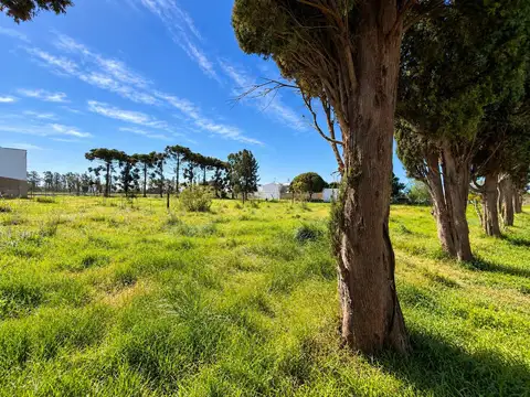 Terreno en Arroyo Seco