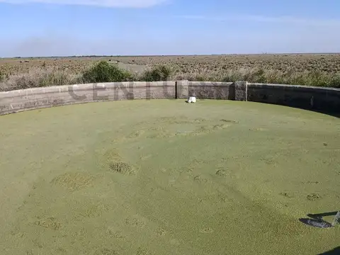 VENTA CAMPO 1470 ha APTO GANADERIA Y AGRICULTURA LOGROÑO