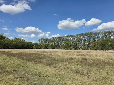 Lotes en La Alameda,  Carmen de Areco