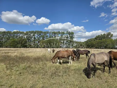Terreno en Venta en Carmen de Areco, USD 80.000