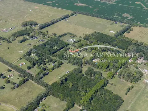Terreno en Venta de 25000,0 m2