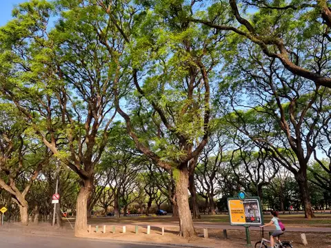 La Pampa y Domingo Romero al 1800, Bajo Belgrano (Belgrano Chico) Planta baja Al Frente Rodeado de jardines. Muy luminoso. 3 Ambientes. 2 Dormitorios. Cocina independiente con Conexión lavarropas. Baño completo. 45 m² Totales y Cubiertos. Bajas expensas.