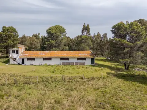 Venta Campo, Soca, 8 htas vivienda galpon