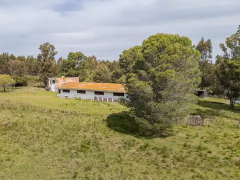 Venta Campo, Soca, 8 htas vivienda galpon