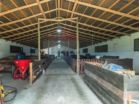 Ruta 8 Vieja 100