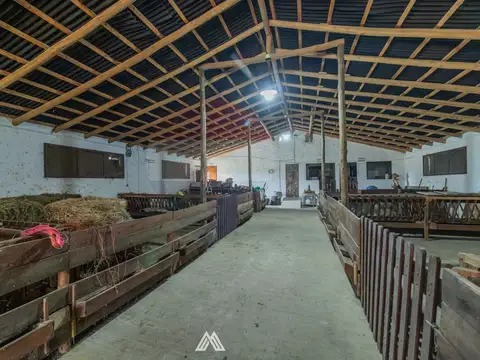 Venta Campo, Soca, 8 htas vivienda galpon