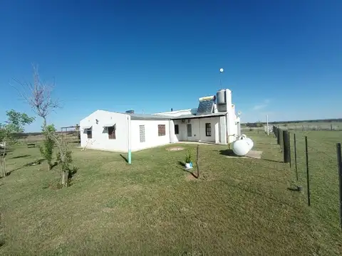 Chacra 44 Hectareas en Telen La Pampa