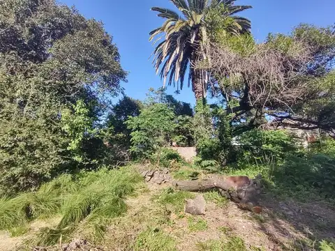 Terreno en Venta 55  mts Fondo