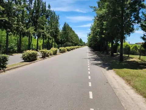 San Matías al 1200, laguna