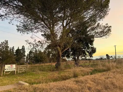 Chacra 2 has casa y galpon, frente autódromo Gualeguychú.