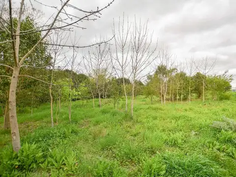 Terreno en Venta en La Plata, Partido de La Plata