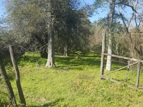 Campo Ganadero en Rivadavia Banda Norte