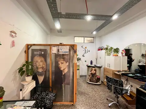 Local de Negocio en Venta en Villa Maipu