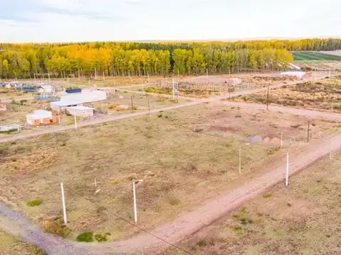 Terreno en Venta en Plottier, USD 11.500