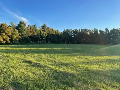 VENTA LOTE EL ESPINILLO GOLF CLUB CARLOS KEEN