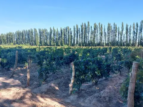 Campo en Venta de 30  ha
