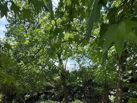 CASA LA CONCEPCION LUJAN 6 AMB LOTE INTERNO C/ PRIVACIDAD
