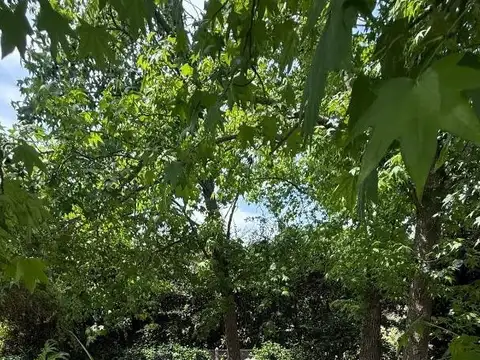 CASA LA CONCEPCION LUJAN 6 AMB LOTE INTERNO C/ PRIVACIDAD