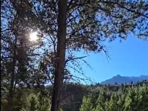Terreno en Venta de 4089,0 m2