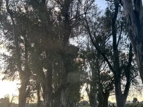 Terreno en Venta de 1007,0 m2