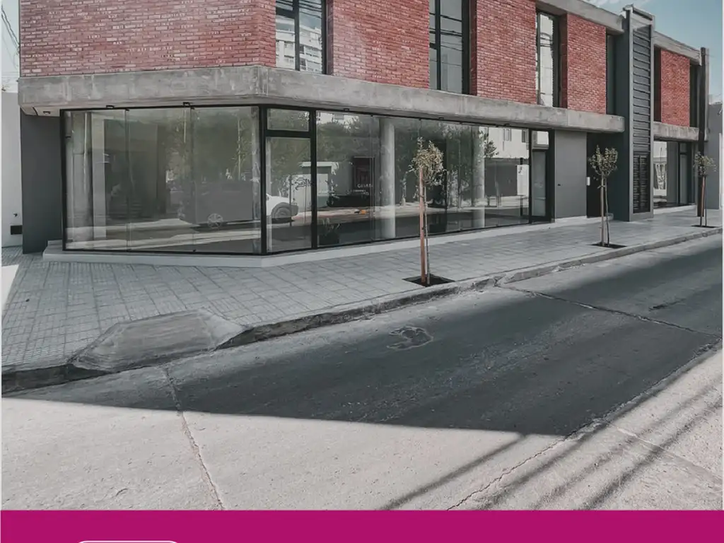 LOCALES MULTIPROPOSITO LAMADRID - Foto 13