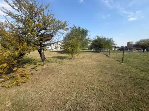 Terreno en Venta 50  mts Fondo