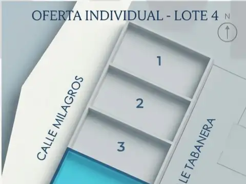 Milagros s/n - Colonia Molina