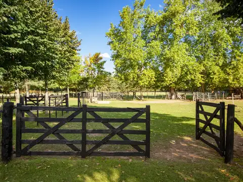 San Antonio de Areco - Increible chacra 7 Has