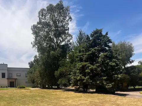 Terreno en Venta de 800,0 m2