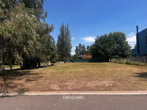 Terreno en Venta 20  mts Fondo