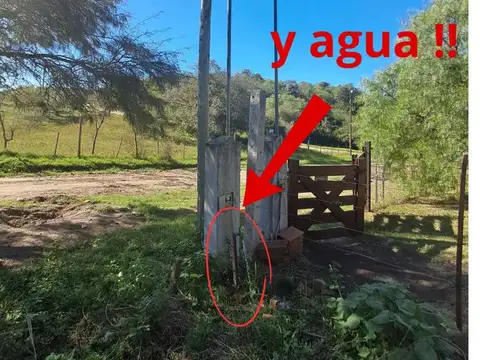 Terreno en Venta de 1733,0 m2