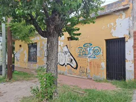Zuloaga 300