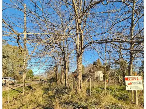 Terreno en Venta de 371,0 m2