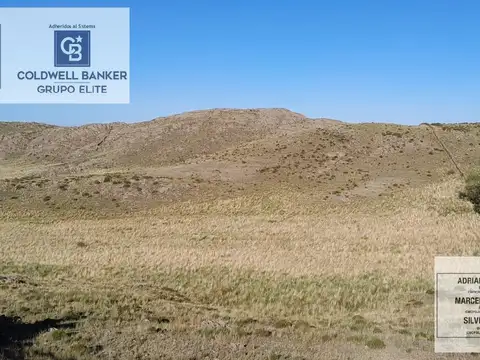 VENTA DE CAMPO CON ARROLLO, EN VALLE DE PANCANTA SAN LUIS