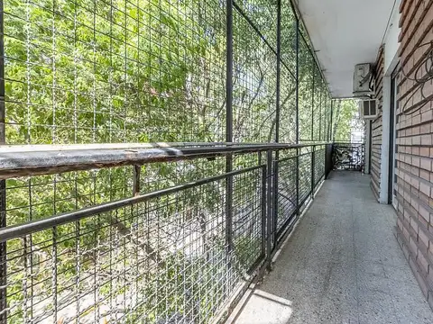 Lobos Eleodoro Dr. al 400