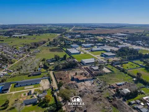 Francisco Canaro 9600