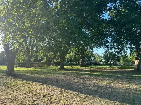 Chacra en Alquiler 6 Ambientes en Luján