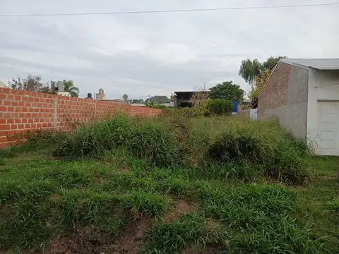 Terreno Zona Purina