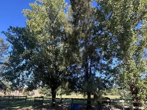 Terreno en Venta 33  mts Frente