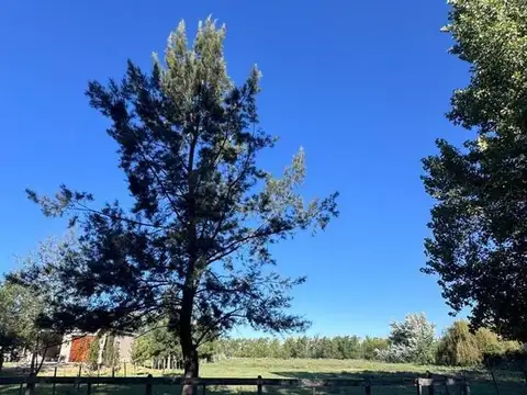 Terreno Lote  en Venta en Haras el Malacate, Exaltación de la Cruz, G.B.A. Zona Norte