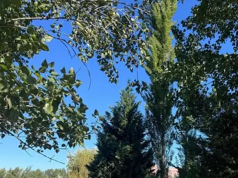 Terreno en Venta de 5003,0 m2
