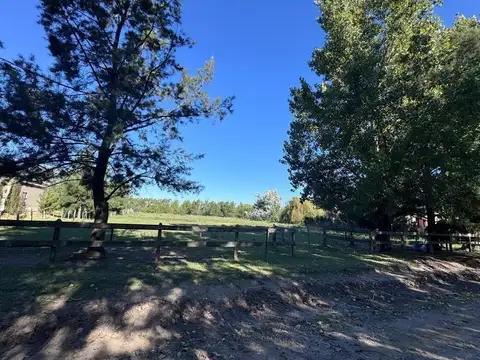 Haras El Malacate