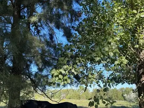 Terreno en Venta 105  mts Fondo